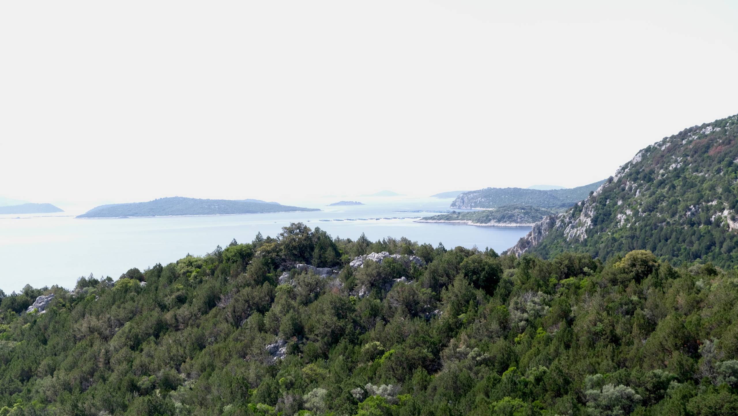 DSCF0190
