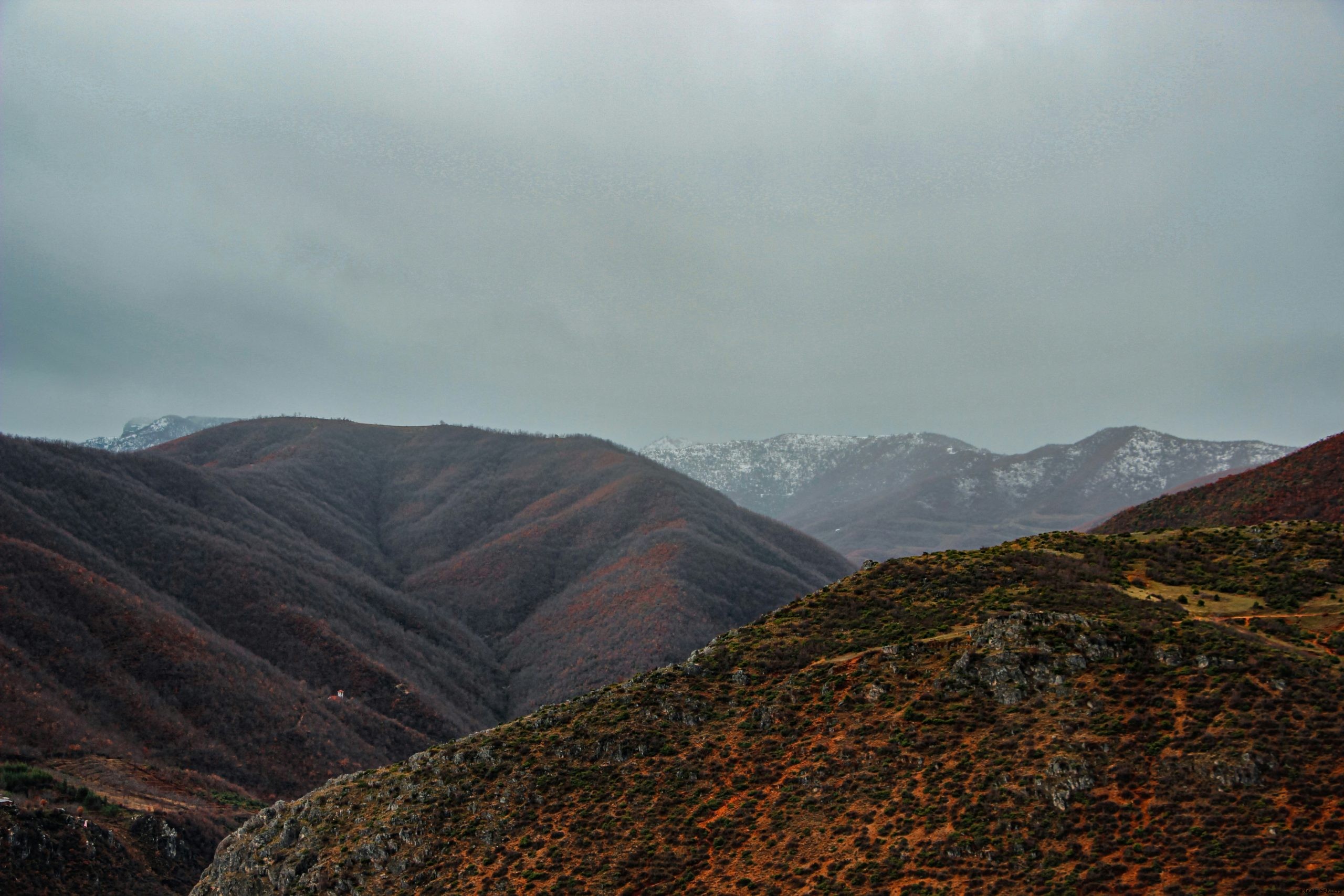 endri-killo-iTF5ihL6930-unsplash